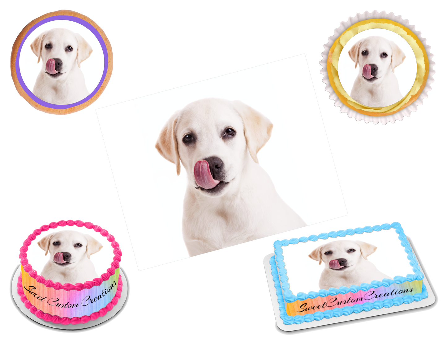 Labrador Edible Image Frosting Sheet #10 Topper (70+ sizes)