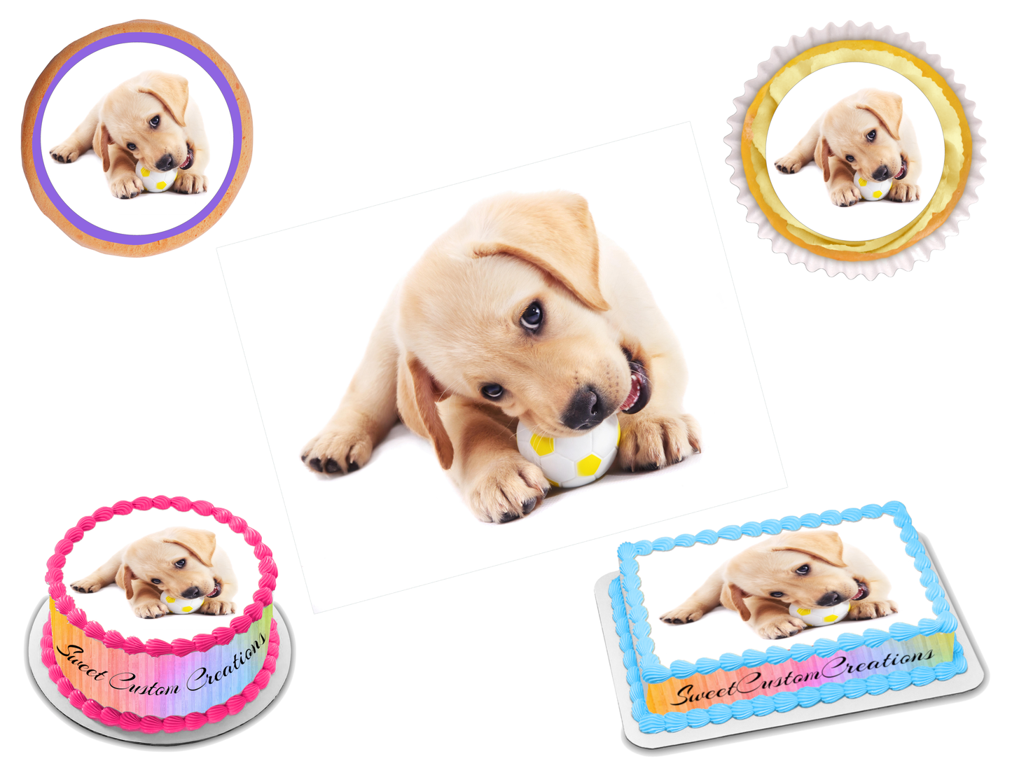 Labrador Edible Image Frosting Sheet #14 Topper (70+ sizes)