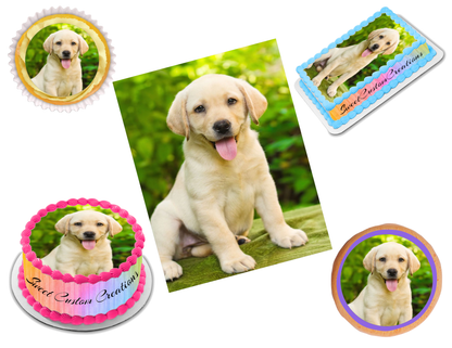 Labrador Edible Image Frosting Sheet #1 Topper (70+ sizes)