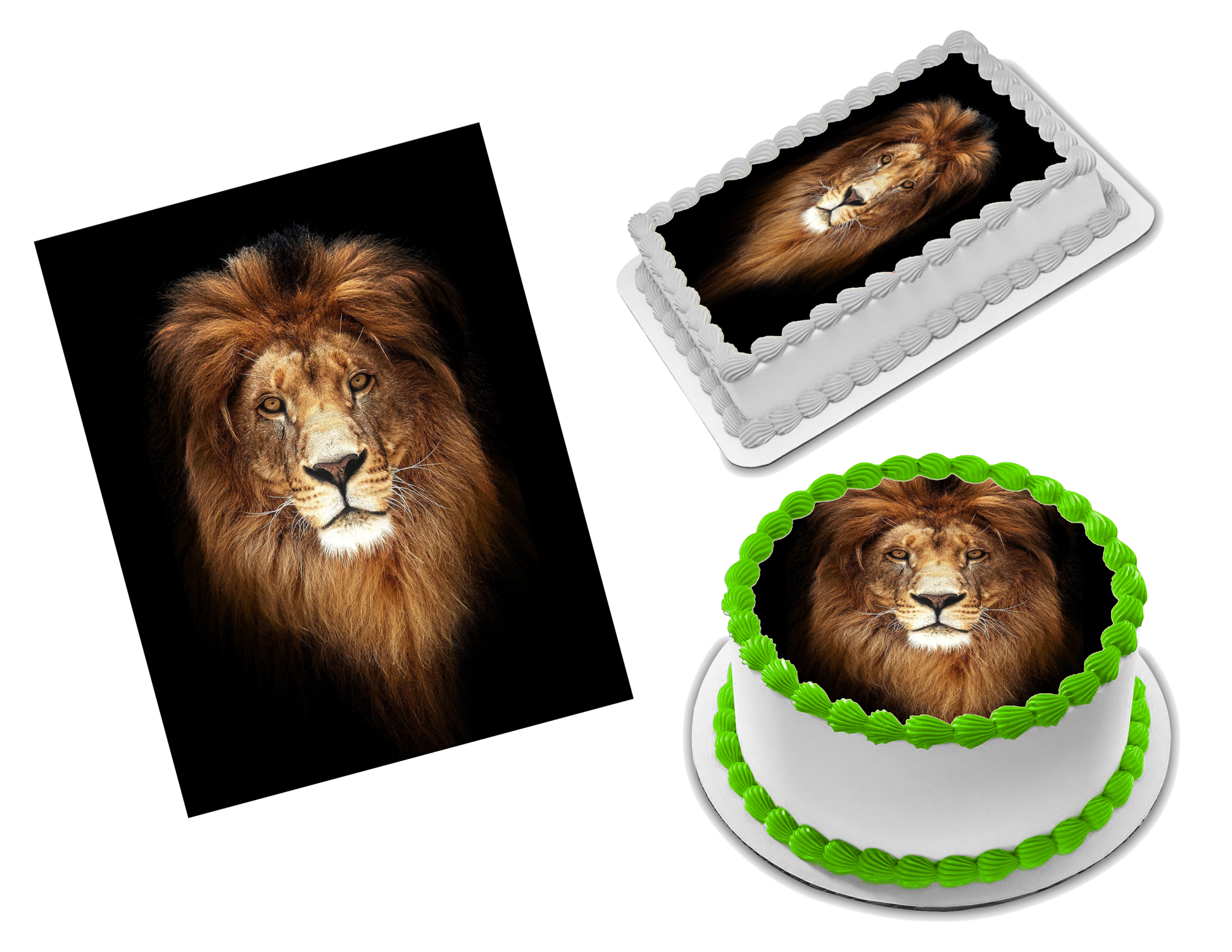Lion Edible Image Frosting Sheet #21 (70+ sizes)