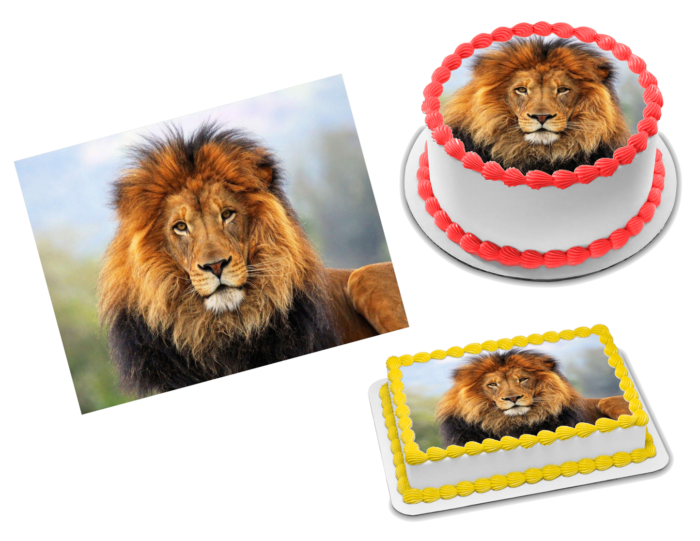 Lion Edible Image Frosting Sheet #22 (70+ sizes)