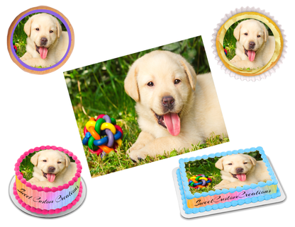 Labrador Edible Image Frosting Sheet #3 Topper (70+ sizes)