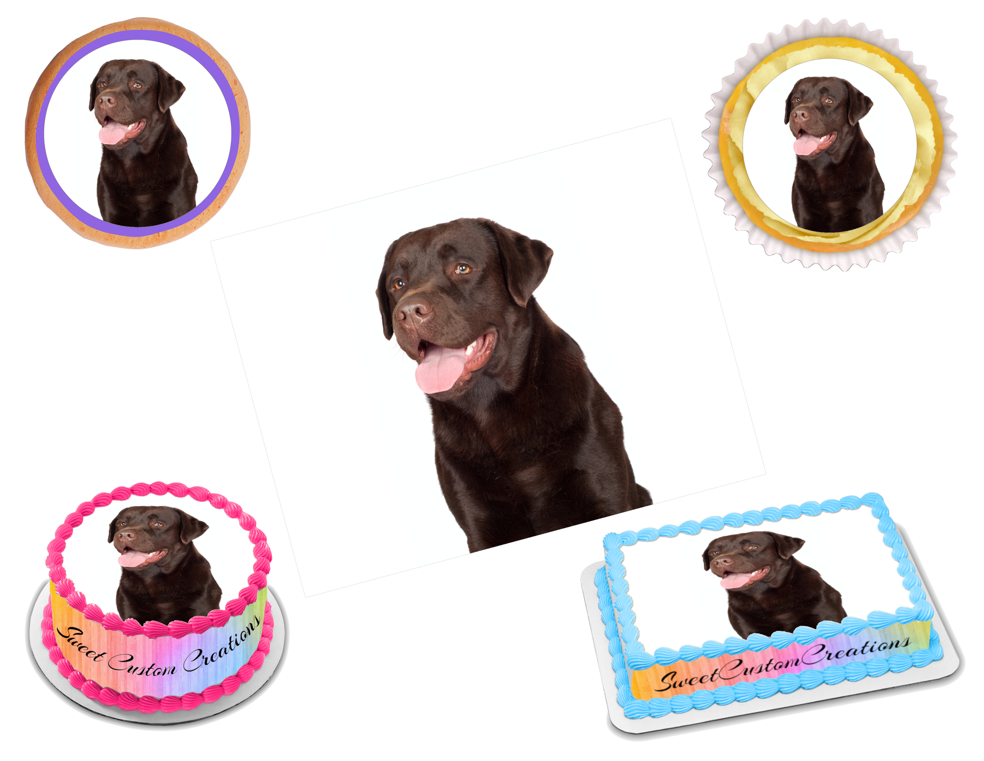 Labrador Edible Image Frosting Sheet #6 Topper (70+ sizes)