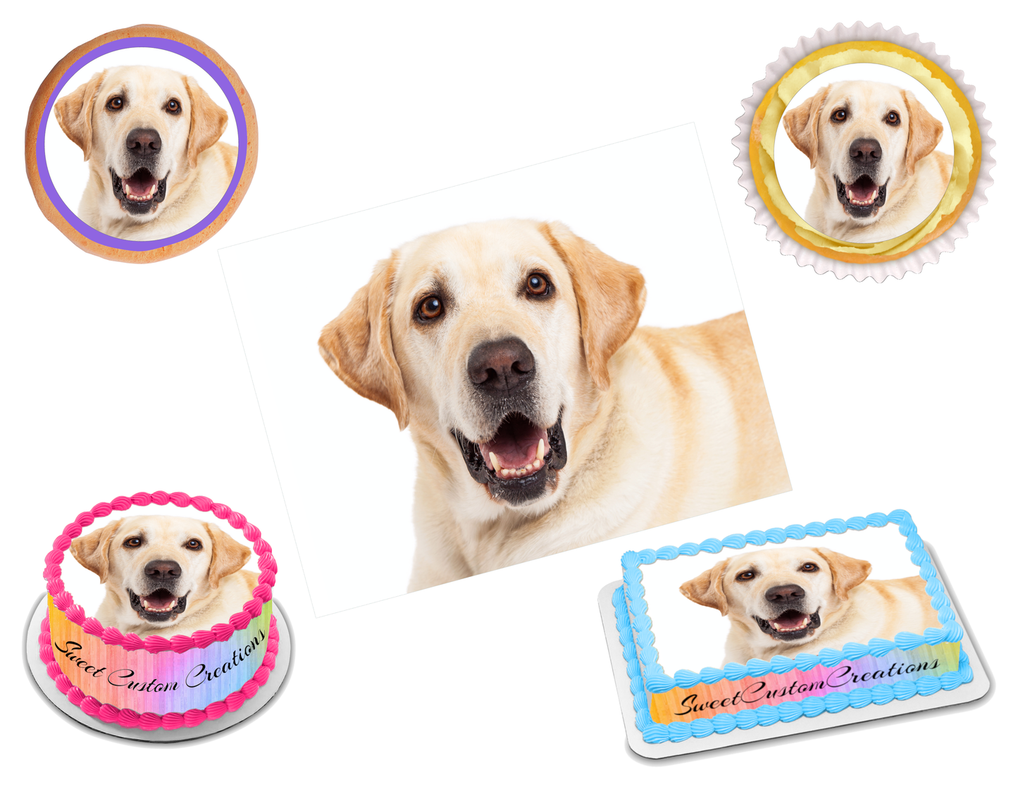 Labrador Edible Image Frosting Sheet #7 Topper (70+ sizes)